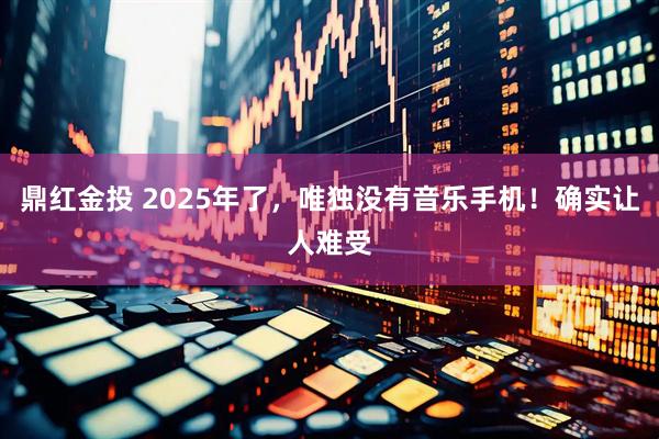 鼎红金投 2025年了，唯独没有音乐手机！确实让人难受