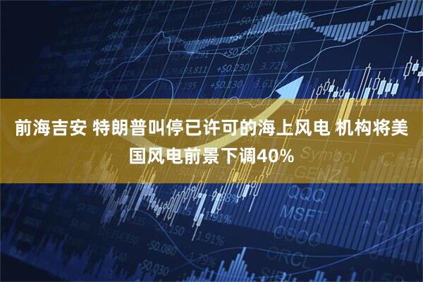 前海吉安 特朗普叫停已许可的海上风电 机构将美国风电前景下调40%