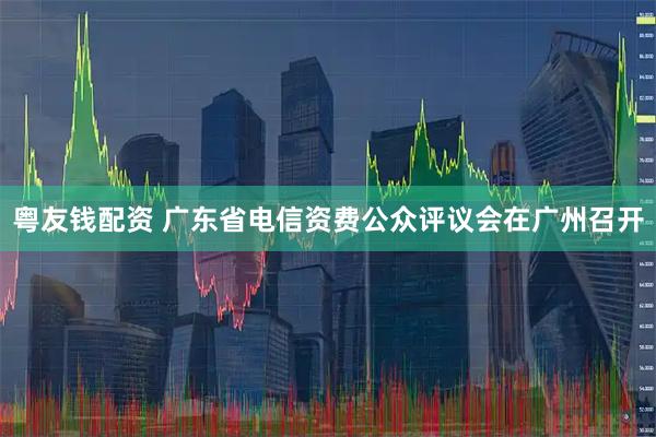 粤友钱配资 广东省电信资费公众评议会在广州召开