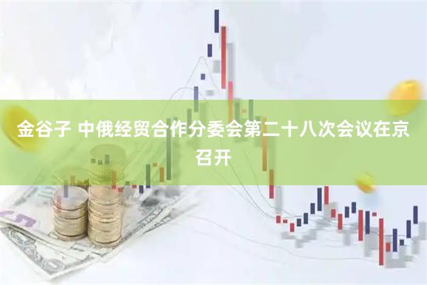 金谷子 中俄经贸合作分委会第二十八次会议在京召开