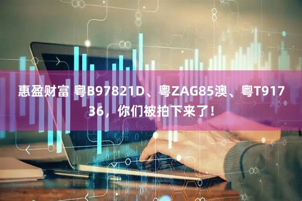 惠盈财富 粤B97821D、粤ZAG85澳、粤T91736，你们被拍下来了！