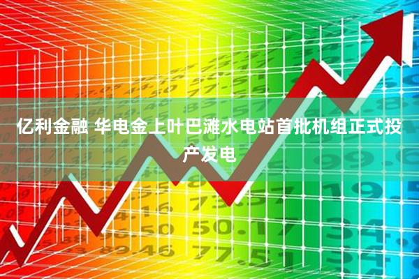 亿利金融 华电金上叶巴滩水电站首批机组正式投产发电